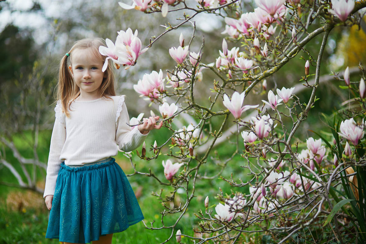 Adorable preschooler girl enjoying nice spring day in park during magnolia blooming season. Outdoor springtime activities for kids. Little child exploring nature