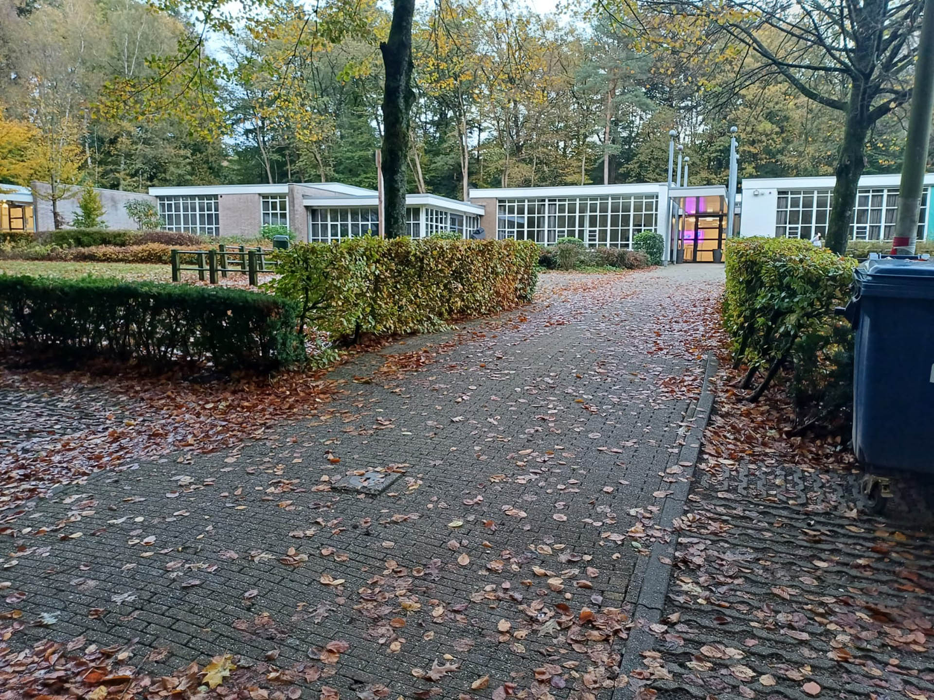 Pad richting een gebouw, omgeven door herfstbladeren en struiken.