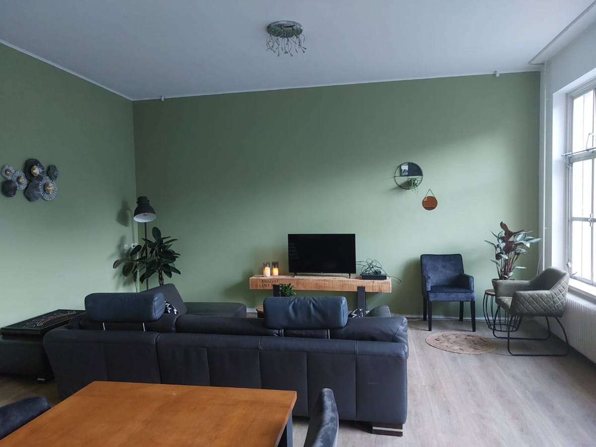 Woonkamer met groene muren, een zwarte bank, tv-meubel van hout en diverse planten en stoelen bij het raam.