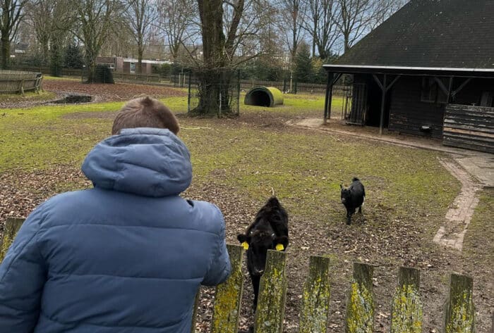 Bewoner van Bloezem kijkt naar dieren op een rustige, groene locatie.